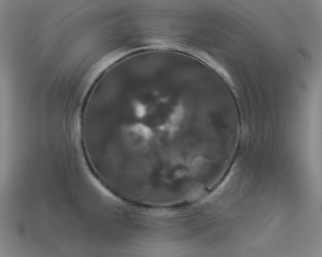 X0000114121239200910051504