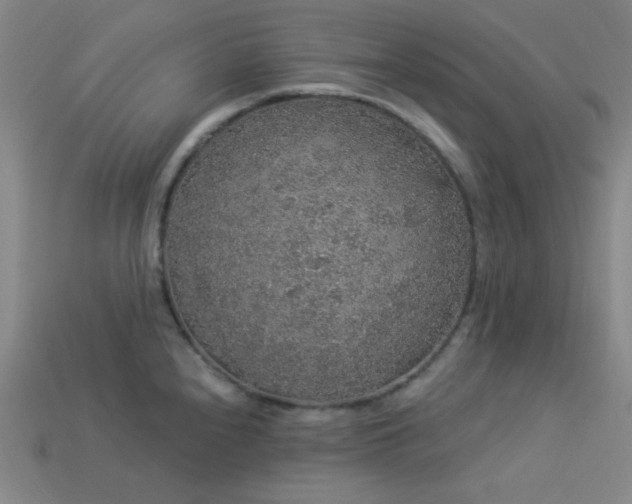 X0000114121240200910051504