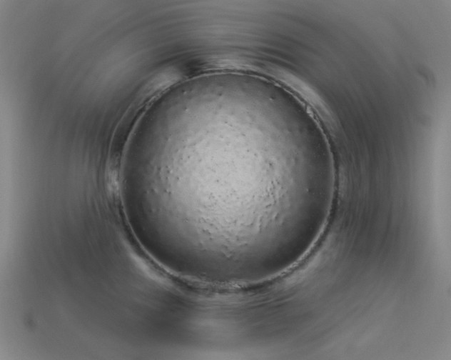 X0000114121241200910051504