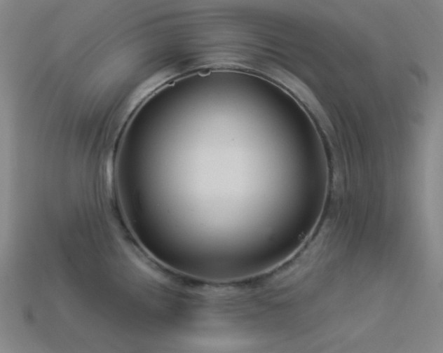 X0000114121242200910051504