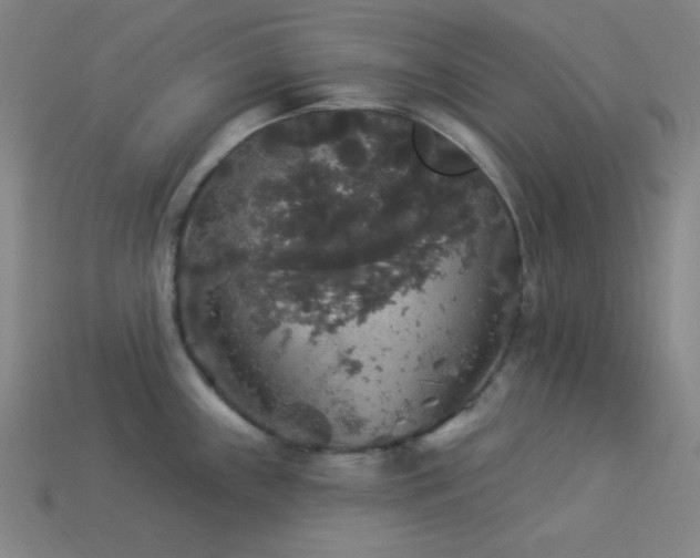 X0000114121243200910051504
