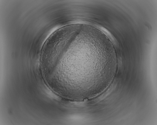 X0000114121244200910051504