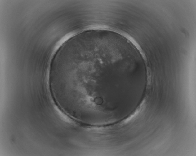X0000114121245200910051504