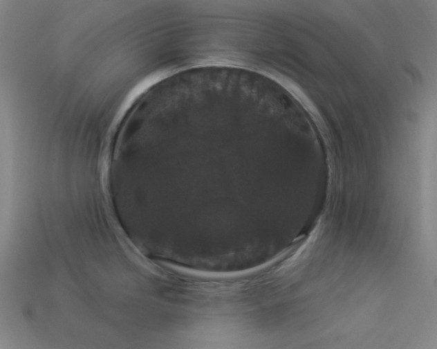 X0000114121246200910051504