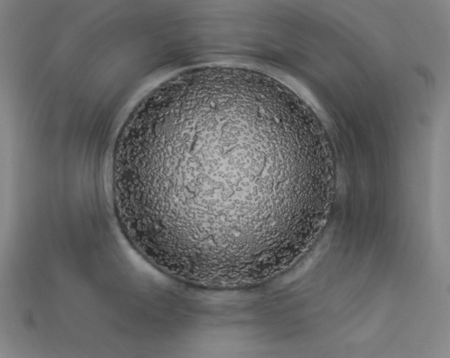 X0000114121247200910051504