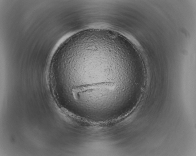 X0000114121248200910051504