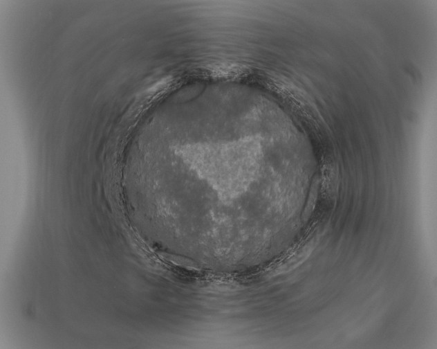 X0000114121249200910051504