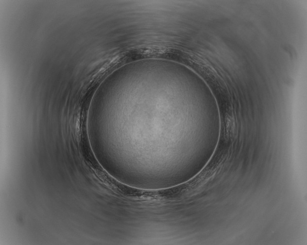 X0000114121250200910051504