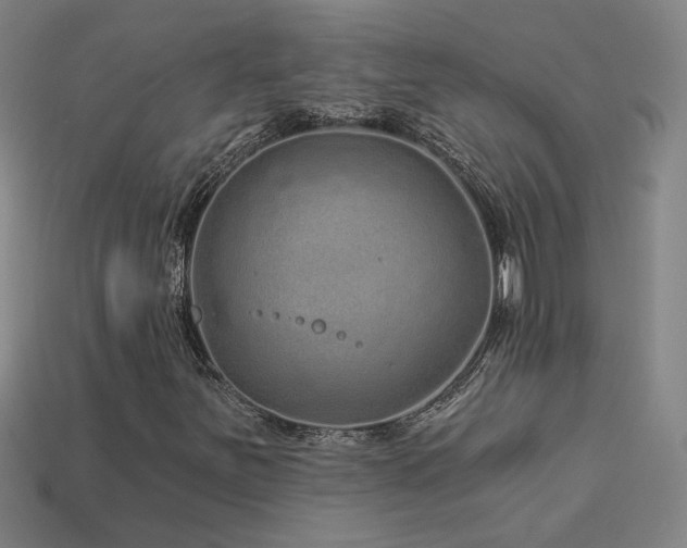 X0000114121251200910051504
