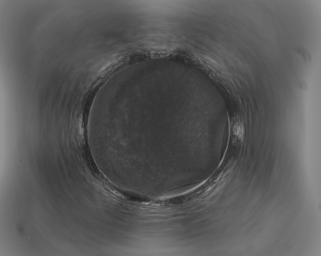 X0000114121252200910051504