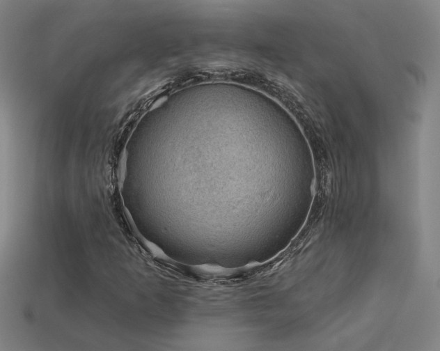 X0000114121253200910051504