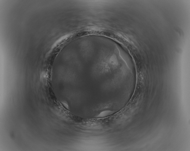 X0000114121254200910051504