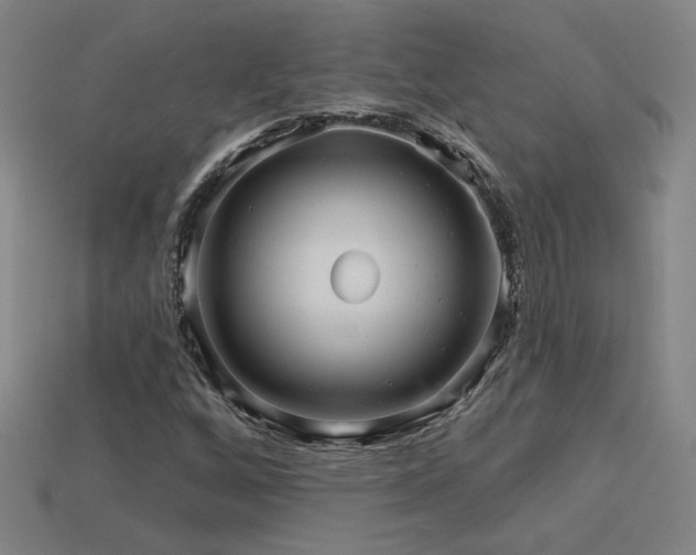 X0000114121256200910051504