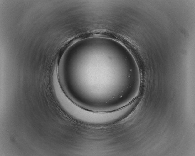 X0000114121257200910051504