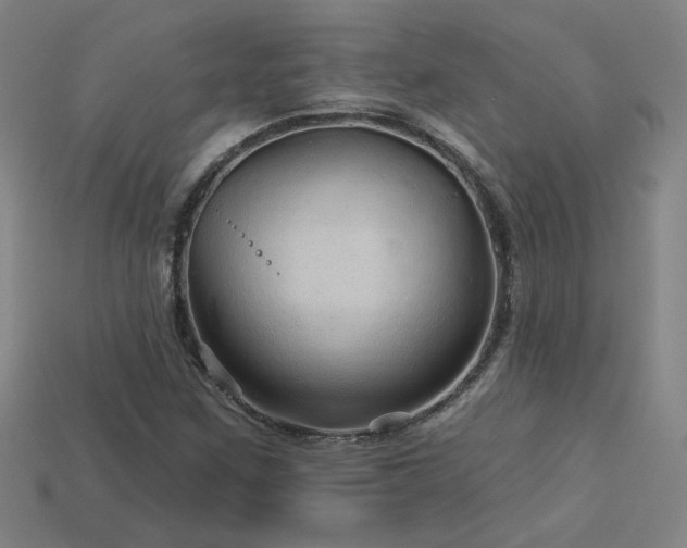X0000114121259200910051504