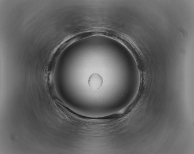 X0000114121260200910051504