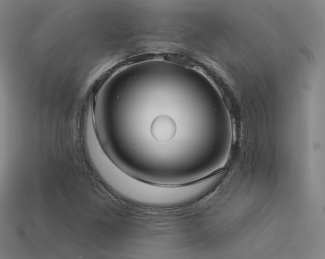 X0000114121261200910051504