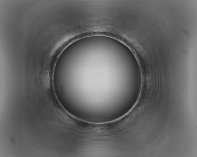 X0000114121262200910051504
