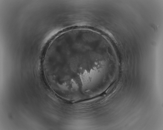 X0000114121263200910051504