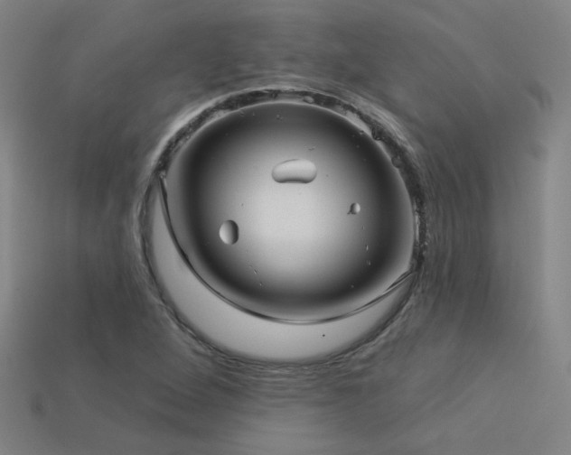 X0000114121264200910051504