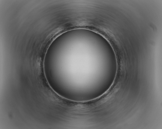 X0000114121265200910051504