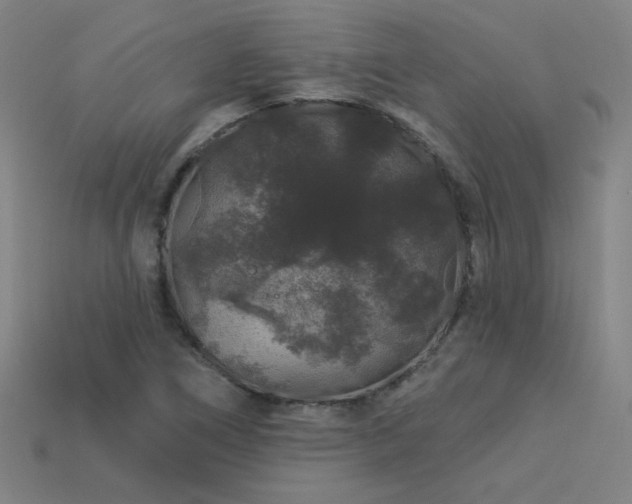 X0000114121266200910051504