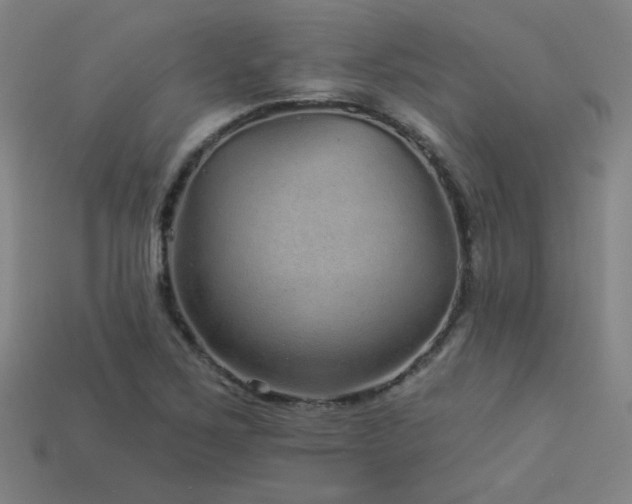 X0000114121267200910051504