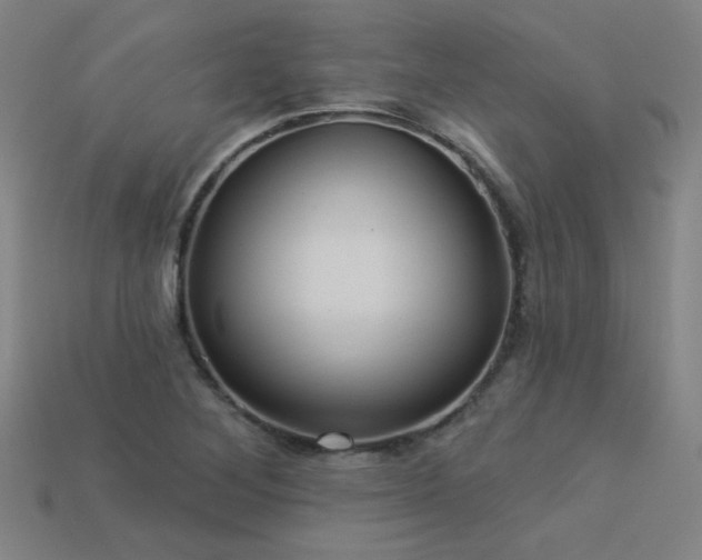 X0000114121268200910051504