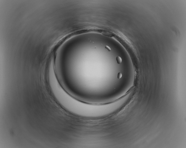 X0000114121269200910051504