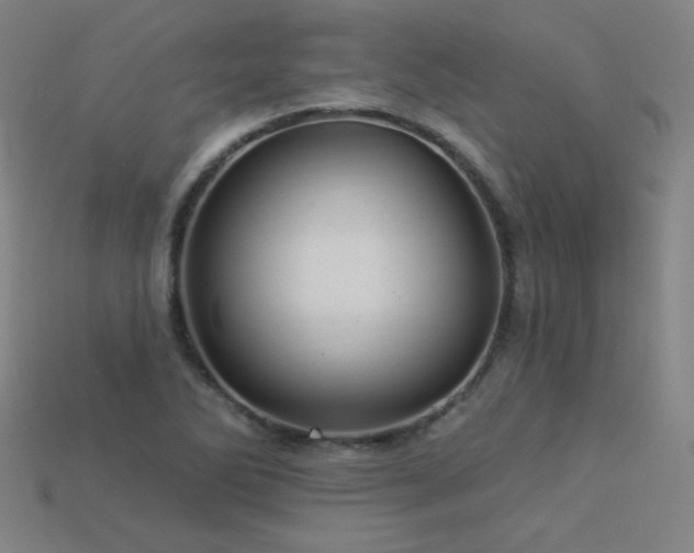 X0000114121270200910051504