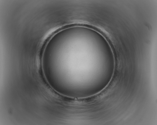 X0000114121271200910051504