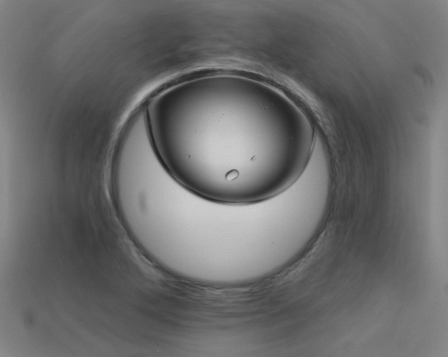 X0000114121272200910051504