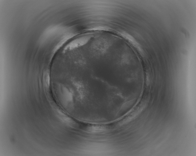 X0000114121274200910051503