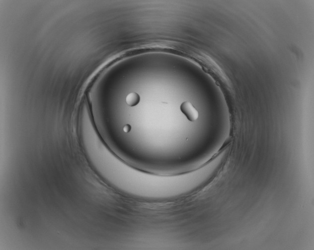 X0000114121276200910051503