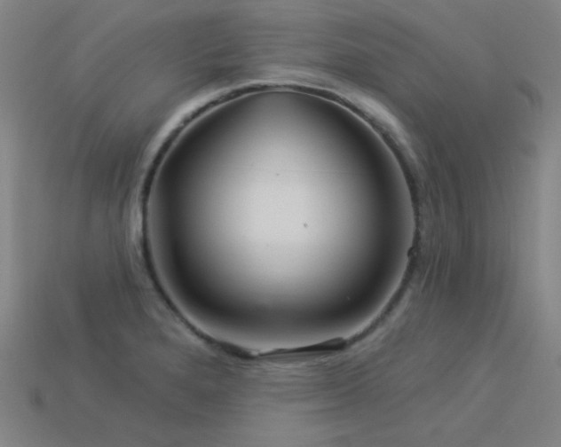 X0000114121280200910051503
