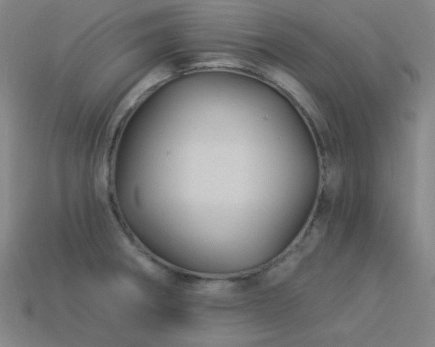 X0000114121282200910051503