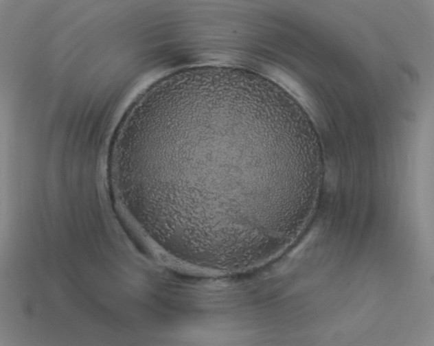 X0000114121283200910051503