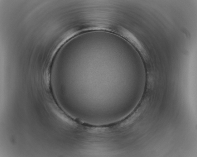 X0000114121284200910051503