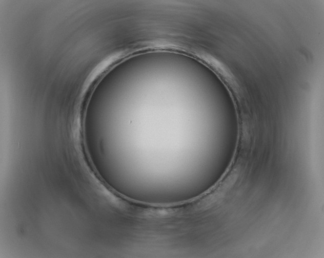 X0000114121286200910051503