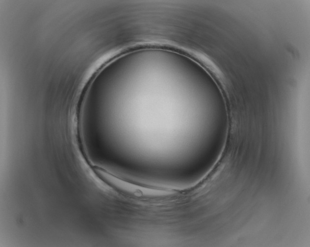X0000114121287200910051503