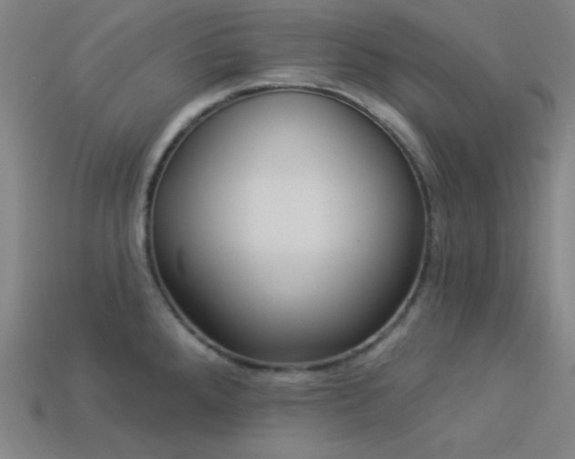X0000114121288200910051503