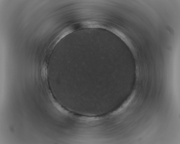X0000114121289200910051503