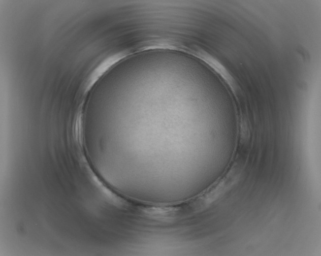 X0000114121290200910051503