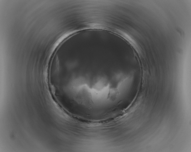 X0000114121291200910051503