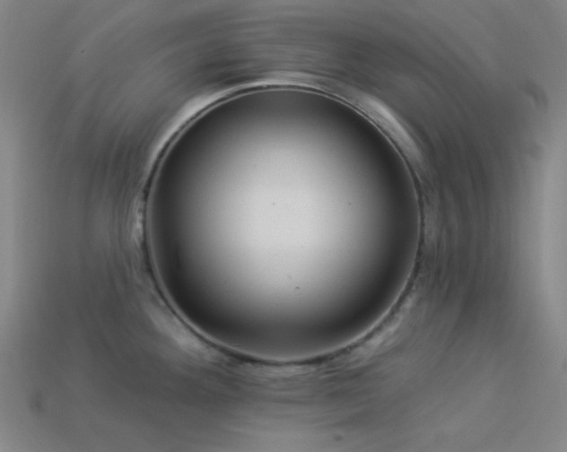 X0000114121292200910051503
