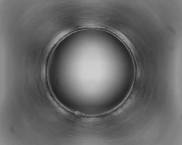 X0000114121293200910051503