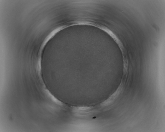 X0000114121294200910051503