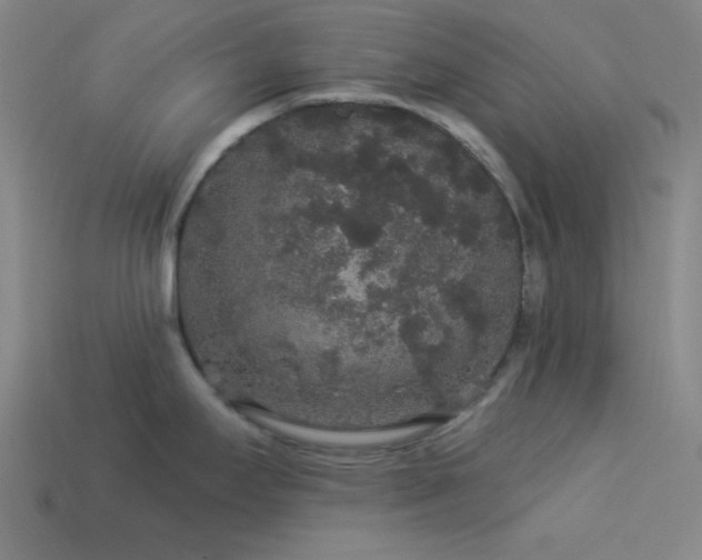 X0000114121295200910051503
