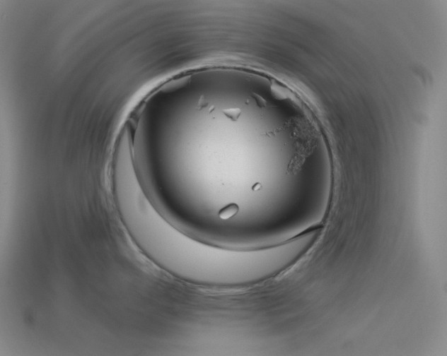 X0000114121296200910051503