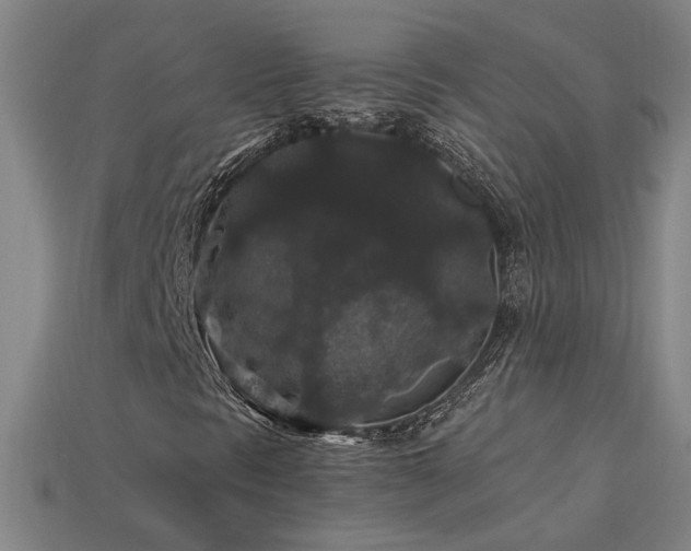 X0000114121297200910051503